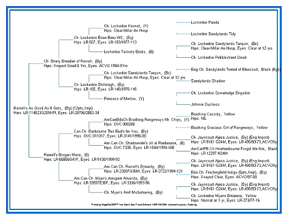BodieJoePed.jpg (129166 bytes)