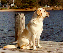 Cruise1.JPG (78023 bytes)