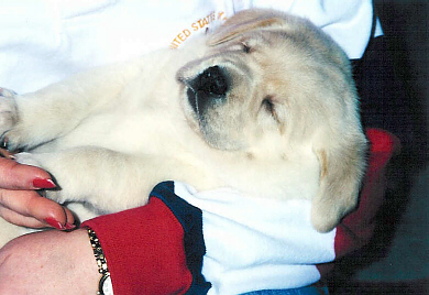 YMsleeping3wks.jpg (80805 bytes)