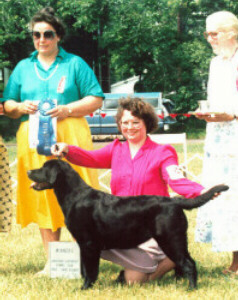 Pandlrcc.JPG (39702 bytes)