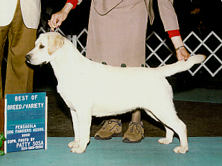 RaeBOB.JPG (91345 bytes)