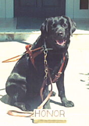 SEHonoria.JPG (38330 bytes)