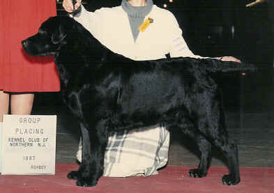 SilkyBeauMeadowlandsCrop.jpg (37680 bytes)