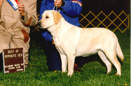 Taylor.JPG (69879 bytes)