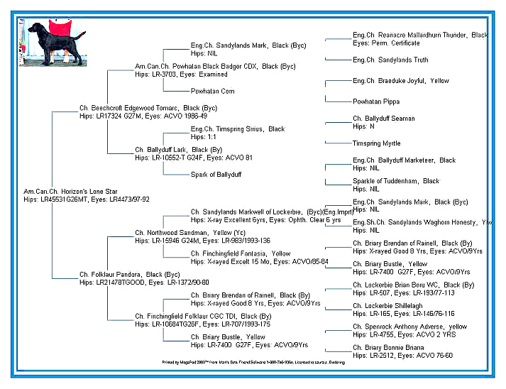 TexPed.jpg (201962 bytes)