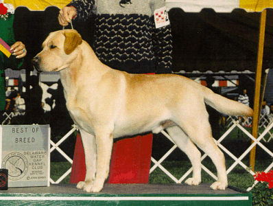 newton.GIF (86602 bytes)